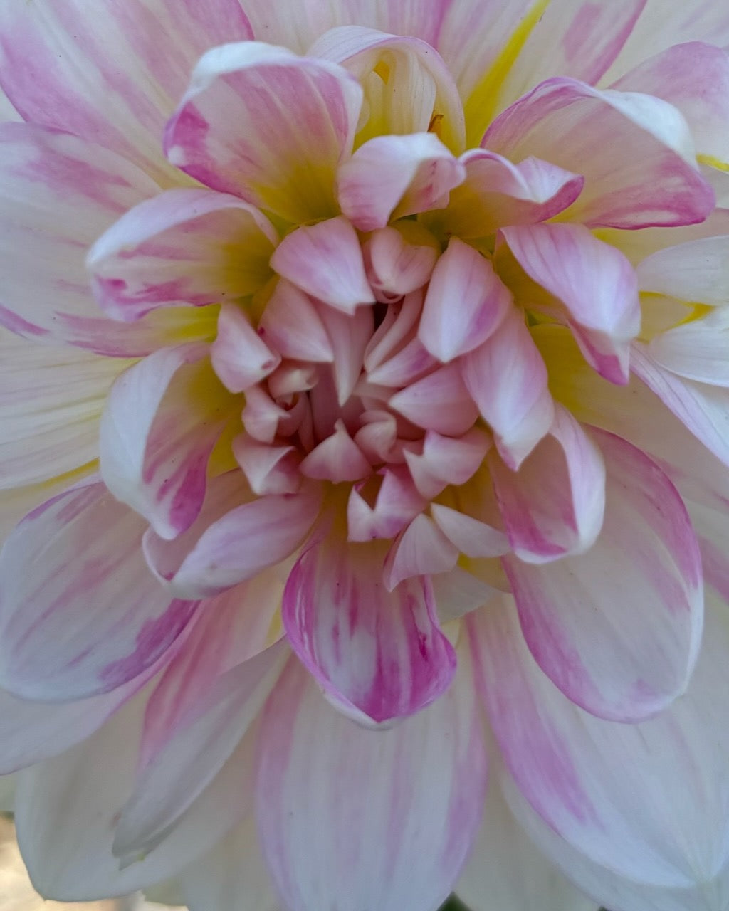 Kelgai Ann - Limit 2